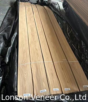 AAA Grade Elm Wood Veneer Crown Cut Thick 0.45MM veneer bảng điều khiển