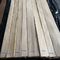 120cm Veneer gỗ trắng được thiết kế sử dụng hàng quý Cắt giảm 12% độ ẩm